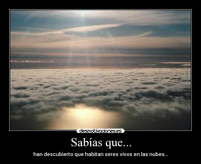 Sabías que... - han descubierto que habitan seres vivos en las nubes...