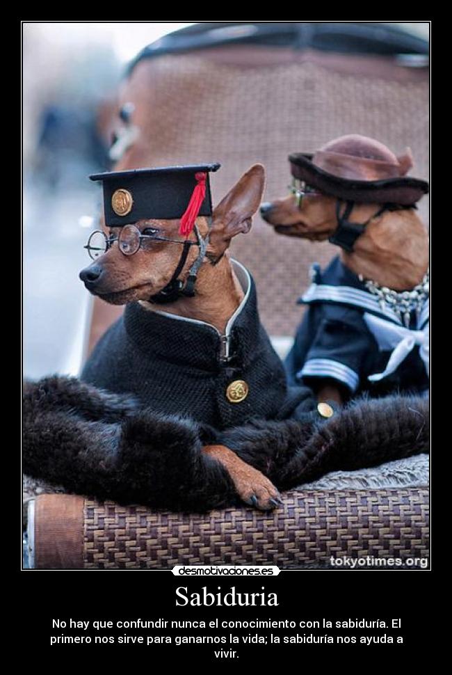 Sabiduria - No hay que confundir nunca el conocimiento con la sabiduría. El
primero nos sirve para ganarnos la vida; la sabiduría nos ayuda a
vivir.