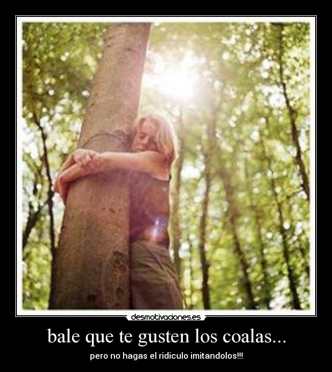bale que te gusten los coalas... - pero no hagas el ridiculo imitandolos!!!