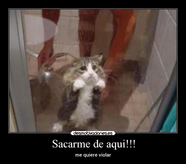 Sacarme de aqui!!! - me quiere violar