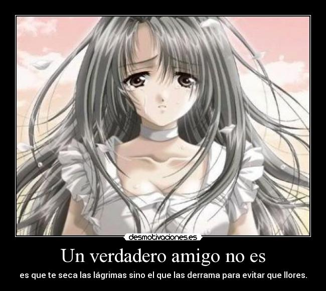 Un verdadero amigo no es - 