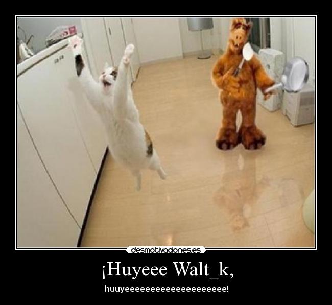 ¡Huyeee Walt_k, -