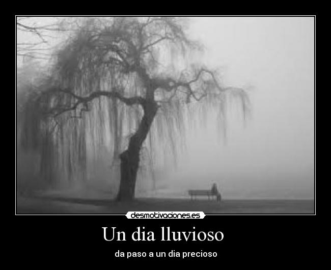 Un dia lluvioso  - da paso a un dia precioso