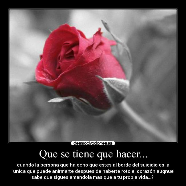 carteles thats all desmotivaciones