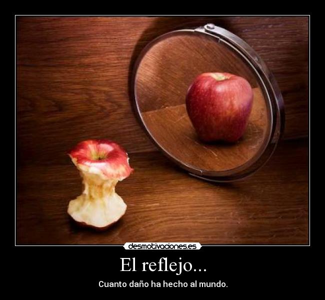 El reflejo... - Cuanto daño ha hecho al mundo.