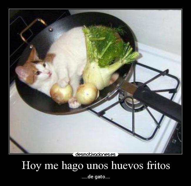 carteles problem desmotivaciones