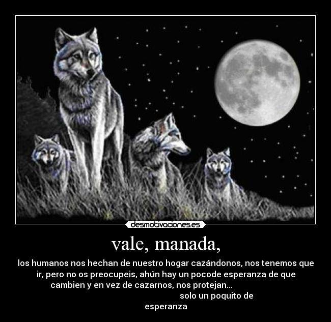 vale, manada, - 