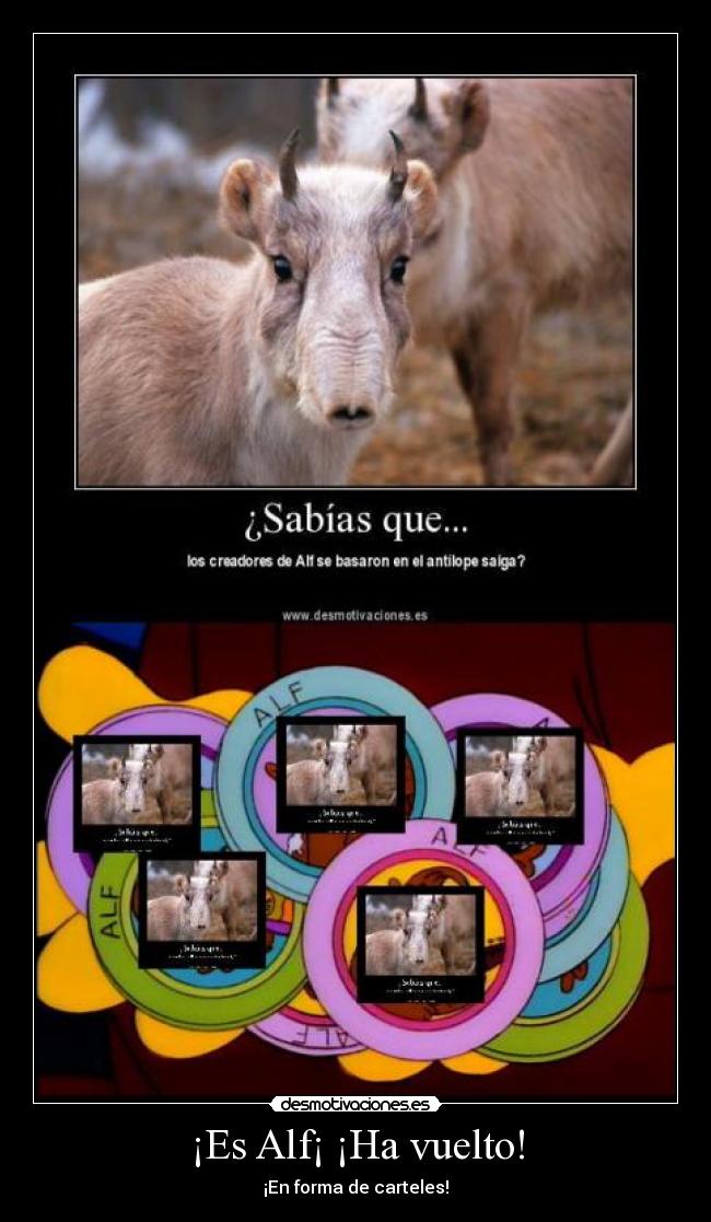 ¡Es Alf¡ ¡Ha vuelto! - ¡En forma de carteles!