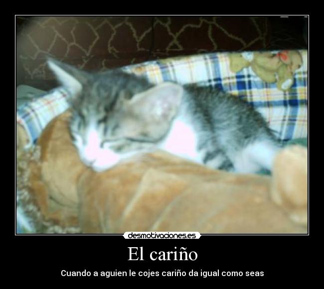 El cariño - Cuando a aguien le cojes cariño da igual como seas