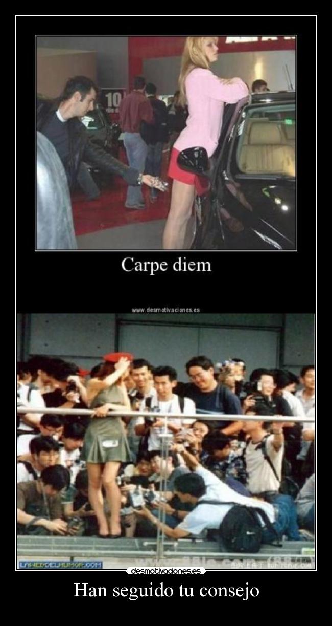 Han seguido tu consejo - 