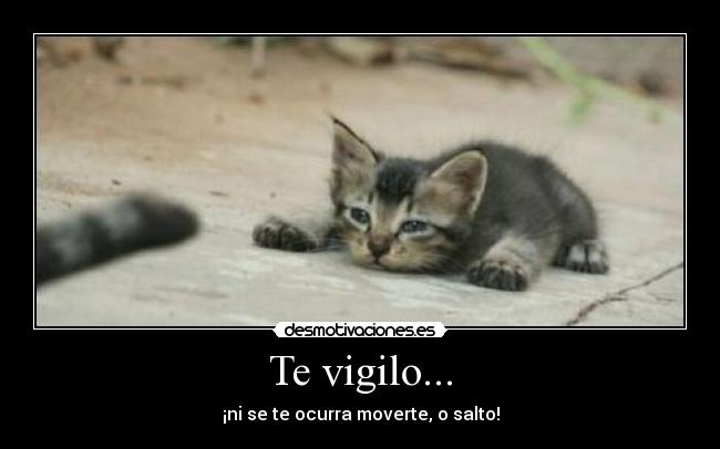 Te vigilo... - 