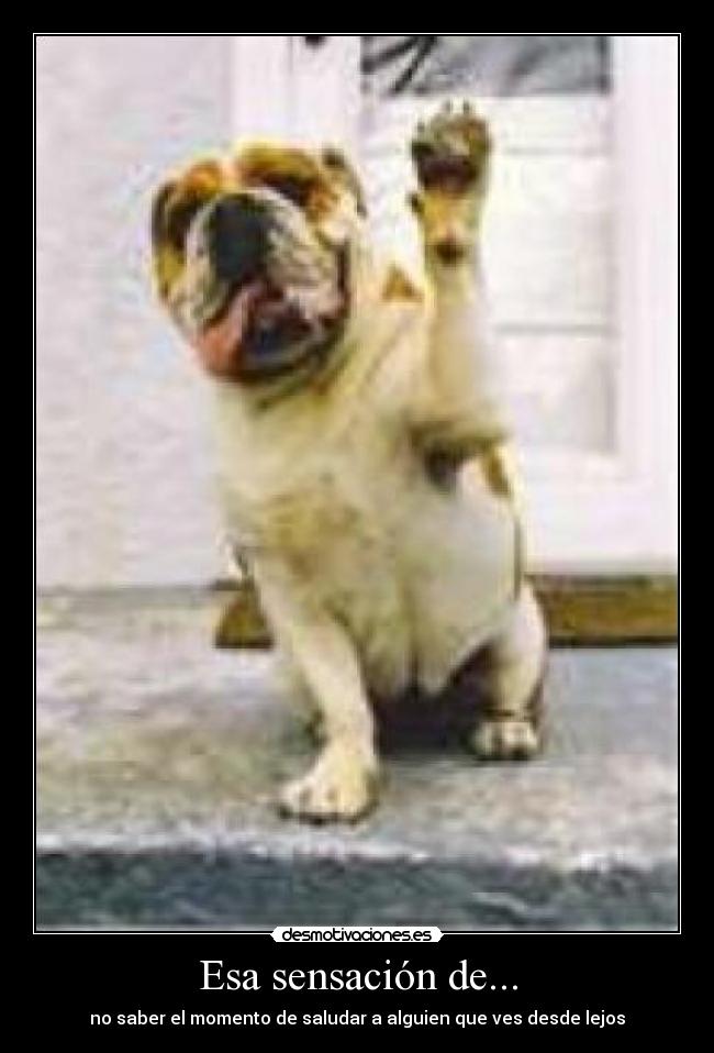 carteles saludar desmotivaciones