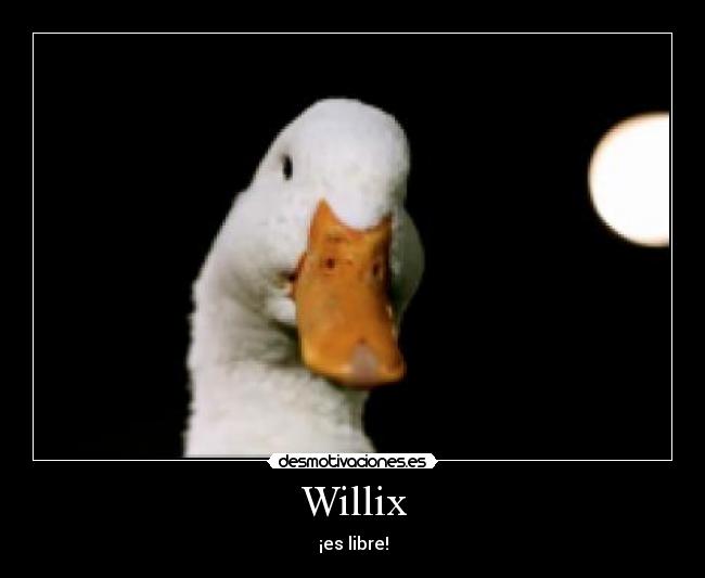 Willix - ¡es libre!