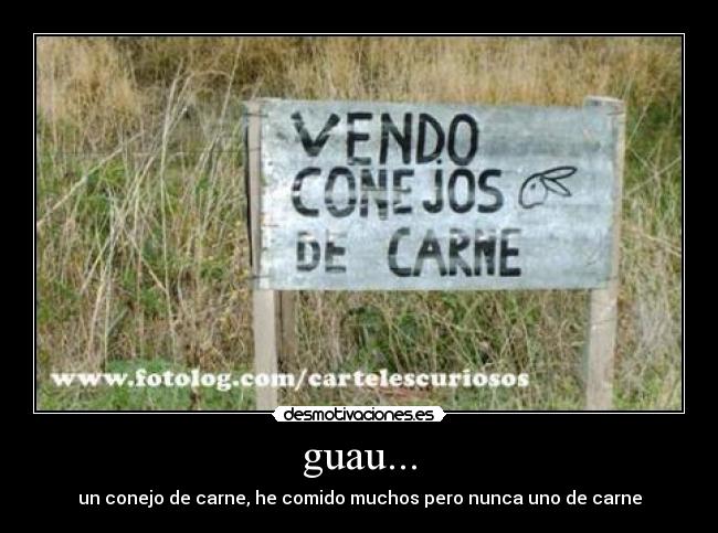 guau... -