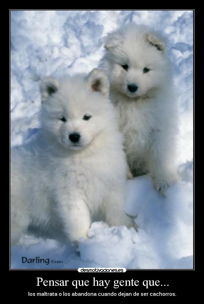 carteles lokiel desmotivaciones