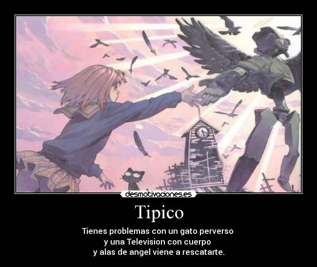 Tipico - 