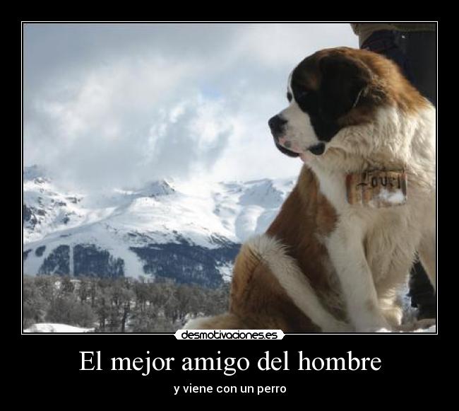El mejor amigo del hombre - 