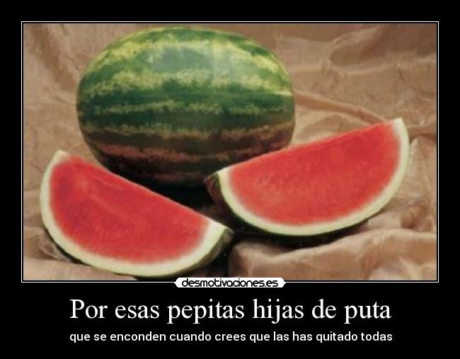 carteles pepitas desmotivaciones