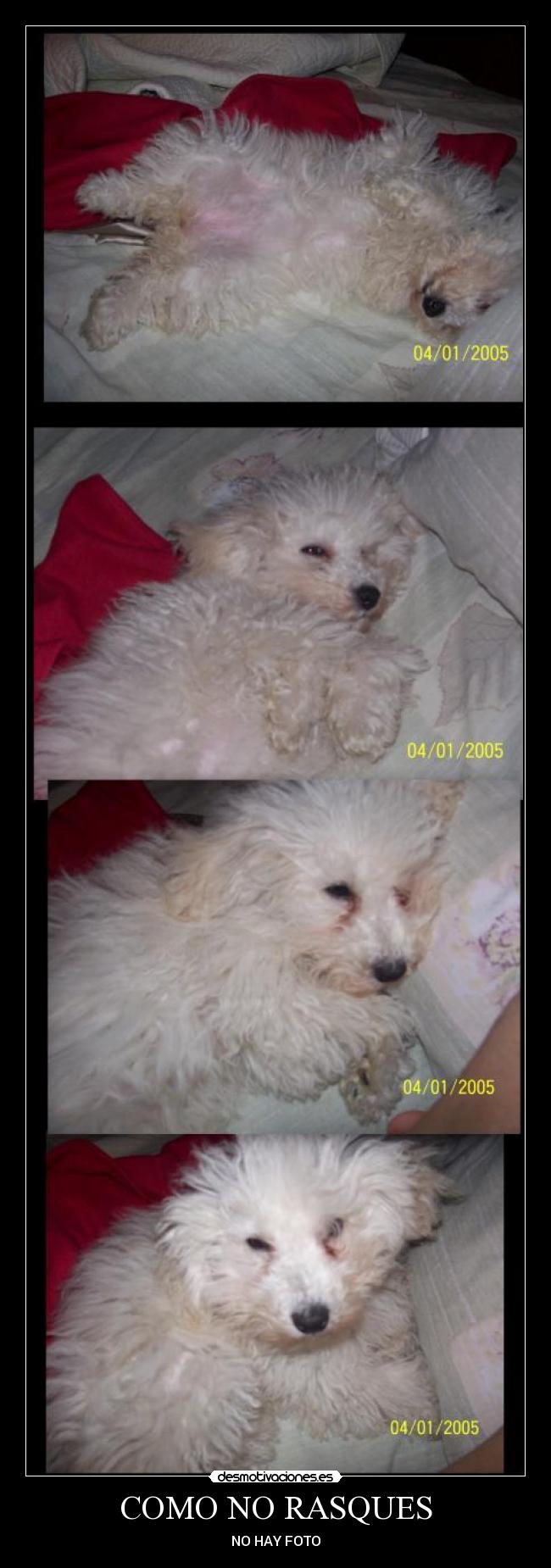COMO NO RASQUES - NO HAY FOTO