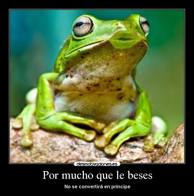 Por mucho que le beses - No se convertirá en príncipe