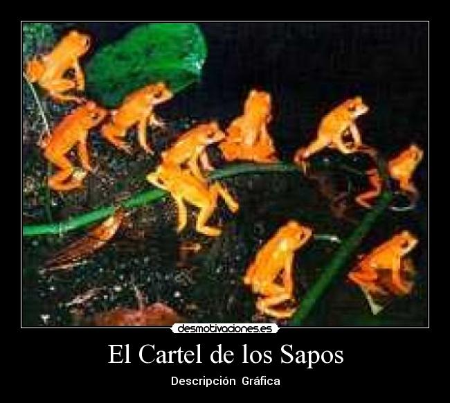 El Cartel de los Sapos - 