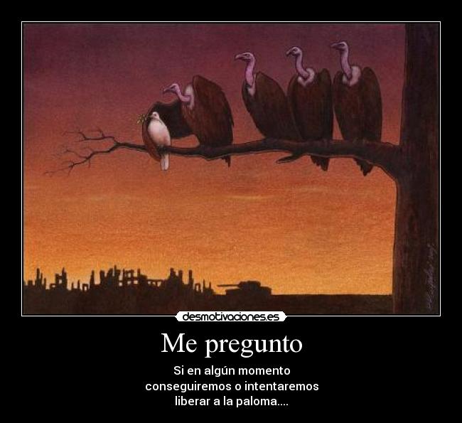 carteles palomadelapaz desmotivaciones