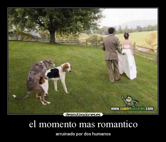 el momento mas romantico - 