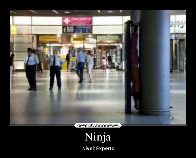 Ninja - 