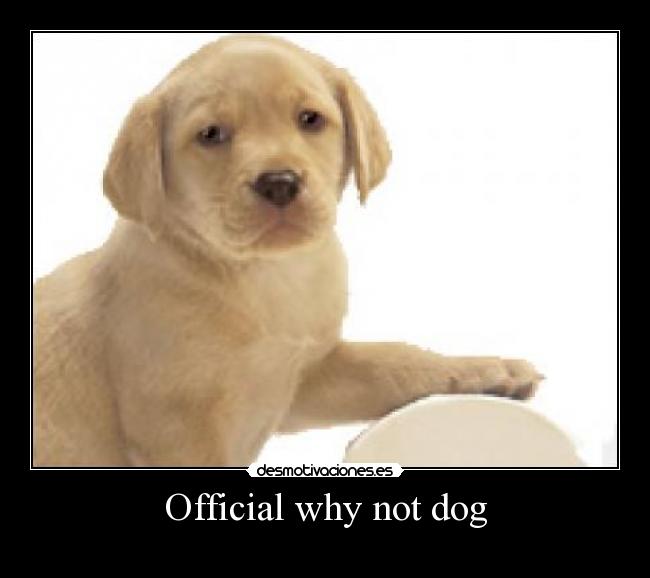 carteles panis_35 b_jx3 desmotivaciones