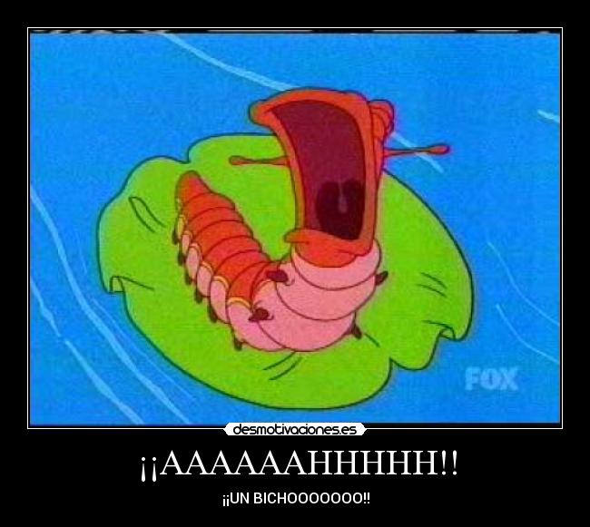 ¡¡AAAAAAHHHHH!! - ¡¡UN BICHOOOOOOO!!