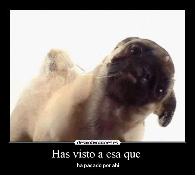 Has visto a esa que  - 