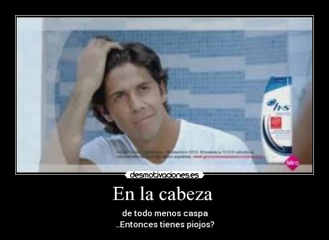 carteles piojos desmotivaciones