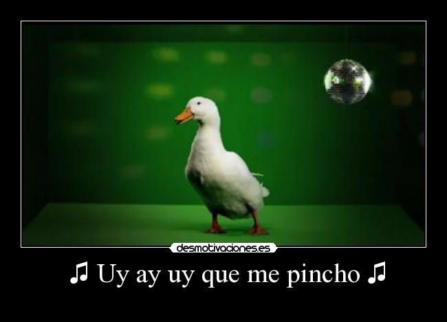  ♫ Uy ay uy que me pincho ♫ - 