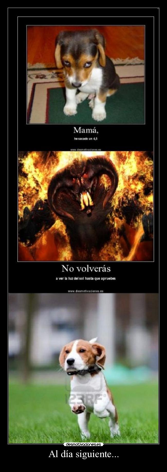 Al día siguiente... -