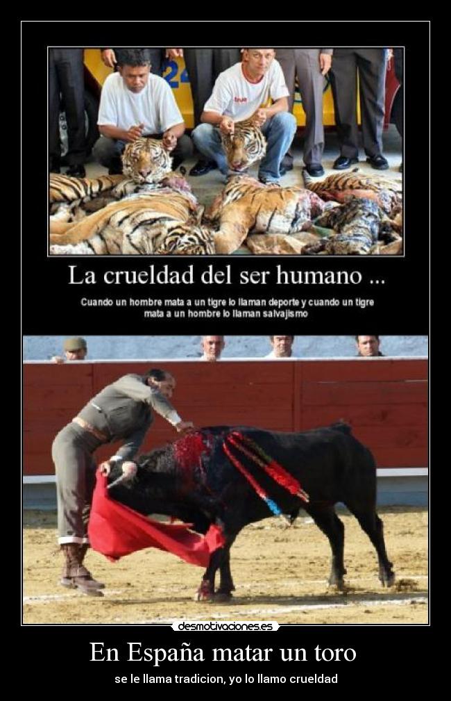 En España matar un toro  - 