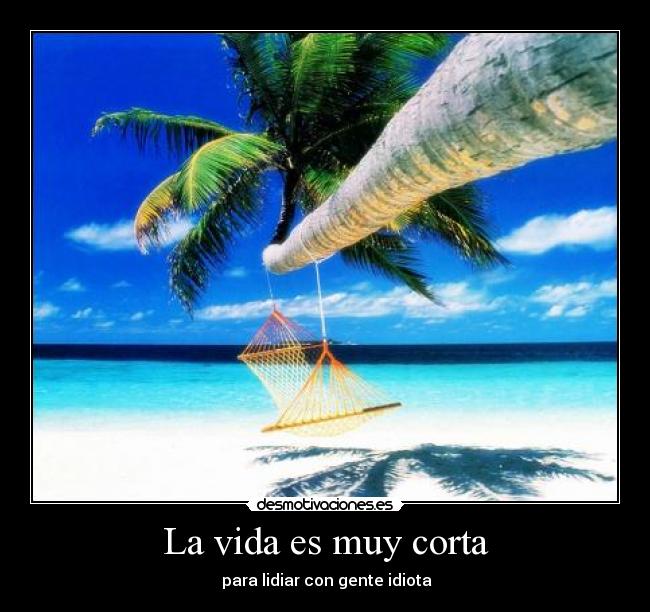 La vida es muy corta - para lidiar con gente idiota