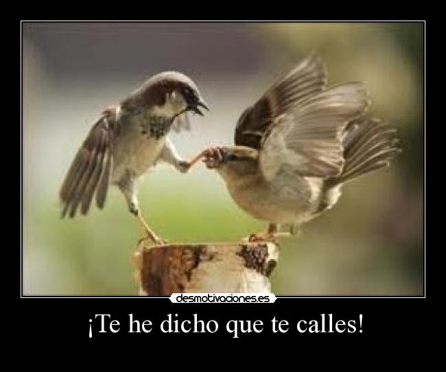 ¡Te he dicho que te calles! -