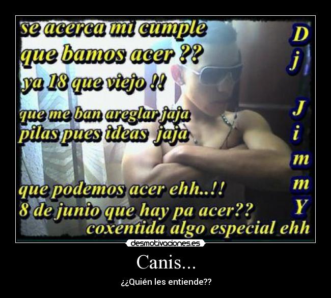 carteles canisfailortografiadesmotiva desmotivaciones