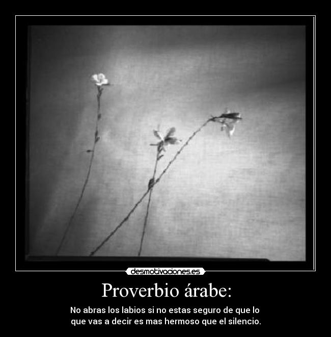 Proverbio árabe: -