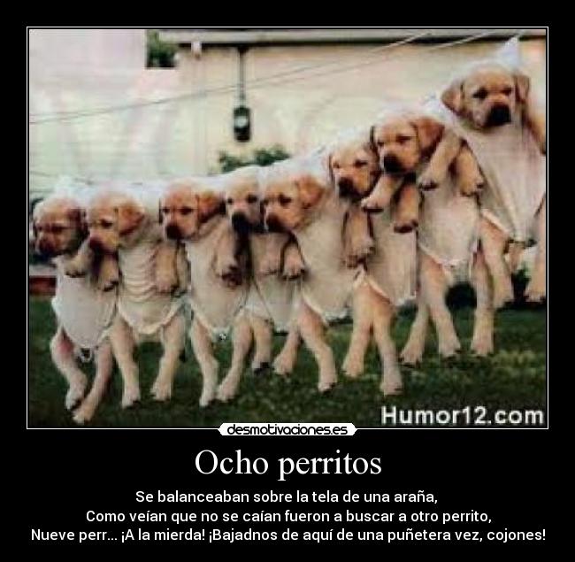 Ocho perritos - Se balanceaban sobre la tela de una araña,
Como veían que no se caían fueron a buscar a otro perrito,
Nueve perr... ¡A la mierda! ¡Bajadnos de aquí de una puñetera vez, cojones!