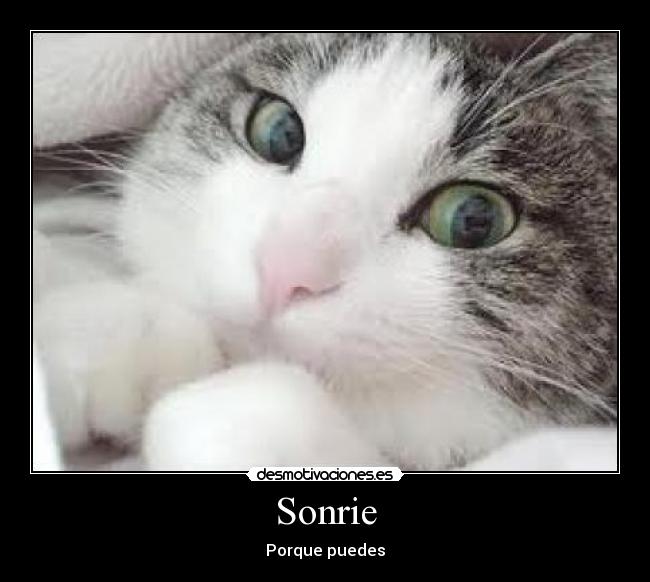 Sonrie -