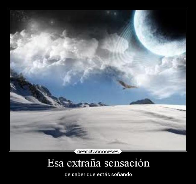 carteles dispot desmotivaciones