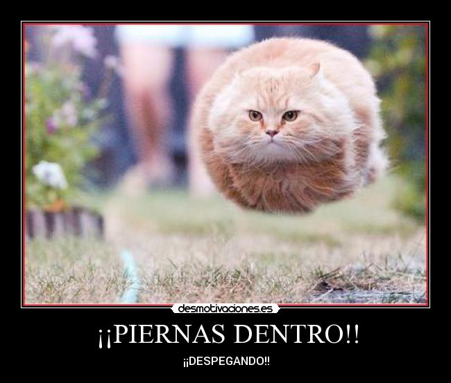 ¡¡PIERNAS DENTRO!! - ¡¡DESPEGANDO!!