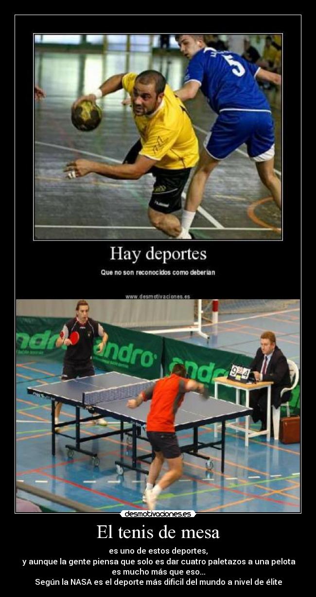 El tenis de mesa -