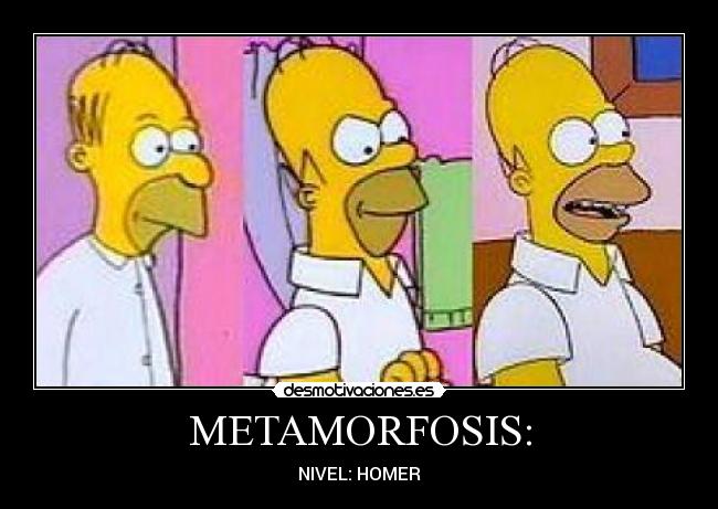 METAMORFOSIS: - NIVEL: HOMER