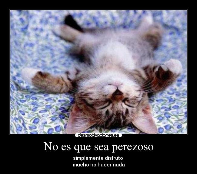 No es que sea perezoso - simplemente disfruto 
mucho no hacer nada