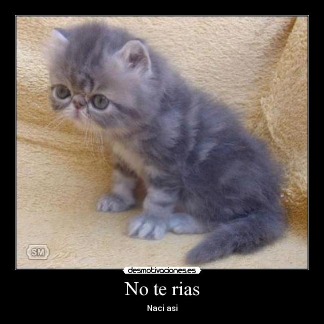 No te rias -
