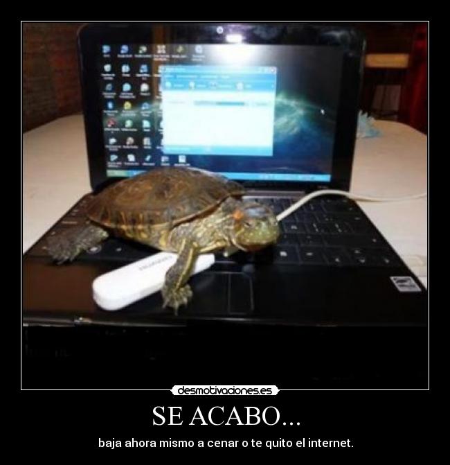 SE ACABO... - baja ahora mismo a cenar o te quito el internet.