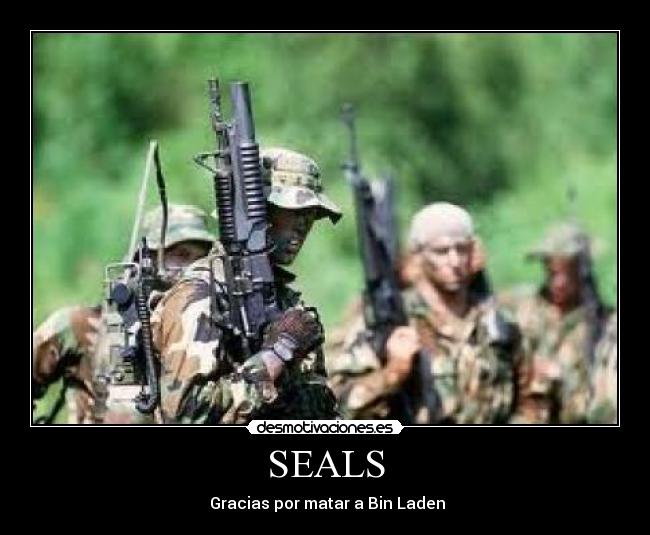 carteles sealsguerra desmotivaciones