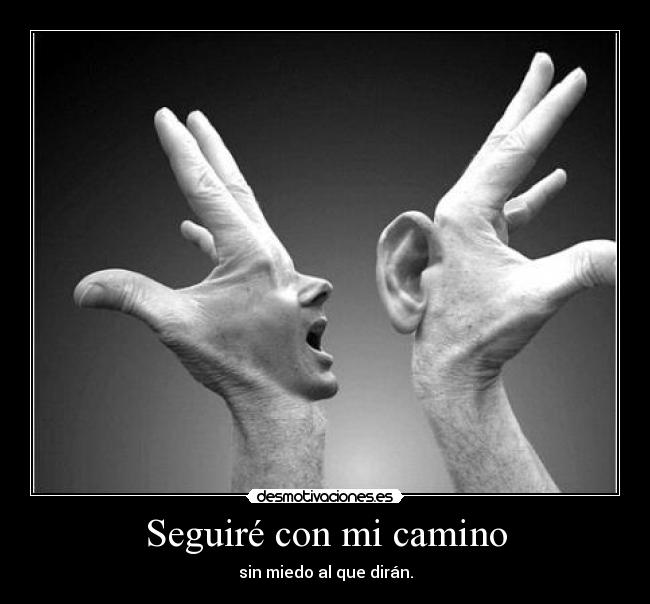 carteles seguire desmotivaciones